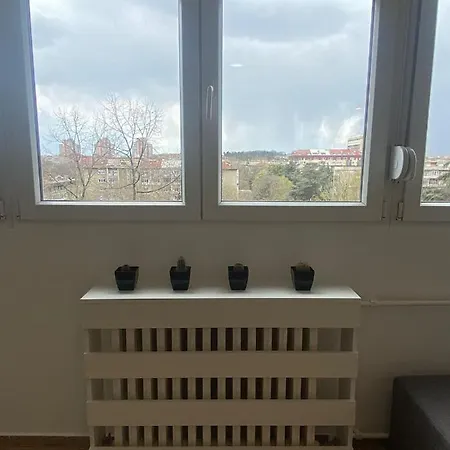 דירה 55 בלגרד